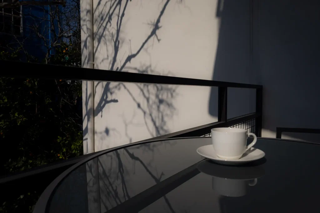 ClaudeShannon_Balcony-6